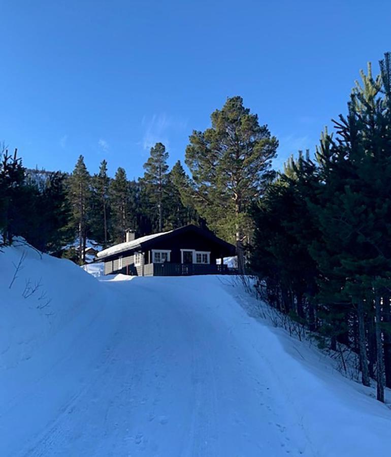 Uvdalhytta - Close To Cross Country And Downhill Skiing Sonstebo Exterior foto